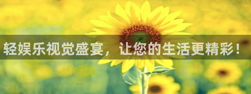 天辰娱乐平台登录入口：轻娱乐视觉盛宴，让您的生活更精彩！