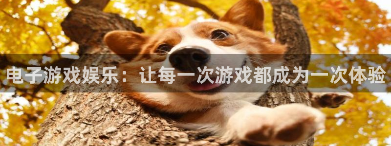 天辰娱乐体育：电子游戏娱乐：让每一次游戏都成为一次体验