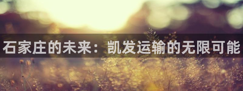 天辰娱乐k：石家庄的未来：凯发运输的无限可能