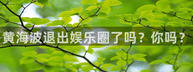 天辰娱乐平台官网入口下载：黄海波退出娱乐圈了吗？你吗？
