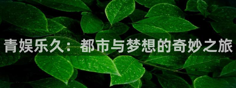天辰娱乐5注册：青娱乐久：都市与梦想的奇妙之旅