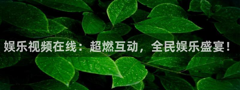 天辰娱乐平台官网版下载：娱乐视频在线：超燃互动，全民娱乐盛宴！