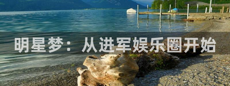 天辰娱乐电子娱乐官网下载：明星梦：从进军娱乐圈开始