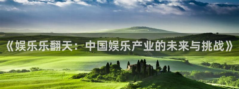 天辰娱乐集团：《娱乐乐翻天：中国娱乐产业的未来与挑战》