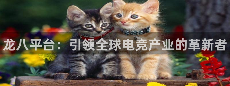 天辰娱乐.ccm：龙八平台：引领全球电竞产业的革新者