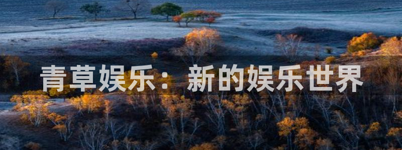 天辰娱乐官网：青草娱乐：新的娱乐世界
