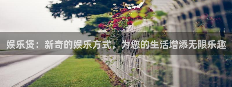 天辰娱乐下载链接：娱乐煲：新奇的娱乐方式，为您的生活增添无限乐趣