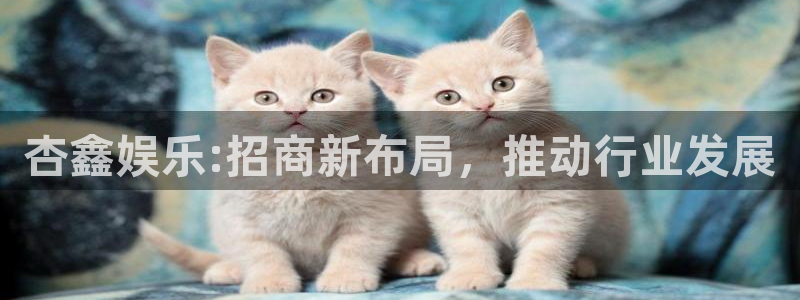 天辰娱乐在线预测：杏鑫娱乐:招商新布局，推动行业发展