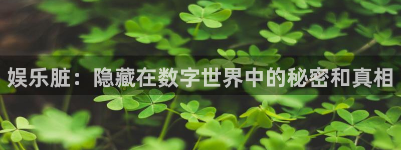天辰娱乐4平台注册：娱乐脏：隐藏在数字世界中的秘密和真相