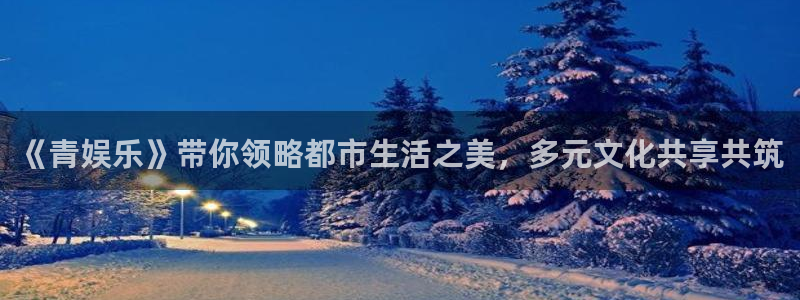 天辰娱乐登录界面入口：《青娱乐》带你领略都市生活之美，多元文化共享共筑