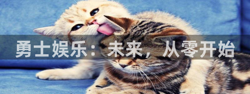 天辰娱乐3平台登录注册：勇士娱乐：未来，从零开始