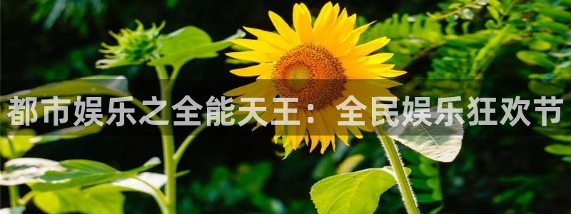 天辰娱乐.com：都市娱乐之全能天王：全民娱乐狂欢节