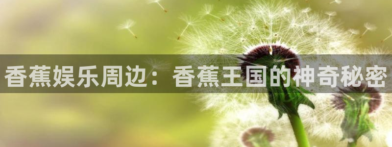 成都天辰娱乐电子有限公司：香蕉娱乐周边：香蕉王国的神奇秘密