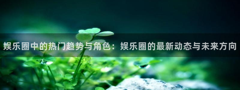 天辰娱乐体育合法嘛：娱乐圈中的热门趋势与角色：娱乐圈的最新动态与未来方向
