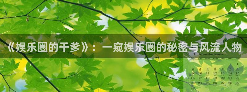 天辰娱乐平台登录：《娱乐圈的干爹》：一窥娱乐圈的秘密与风流人物