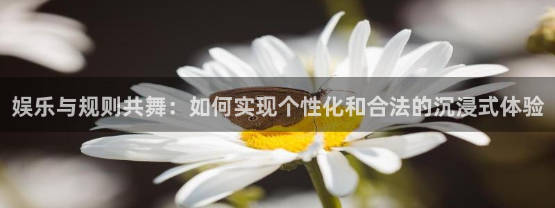 天辰娱乐游app：娱乐与规则共舞：如何实现个性化和合法的沉浸式体验