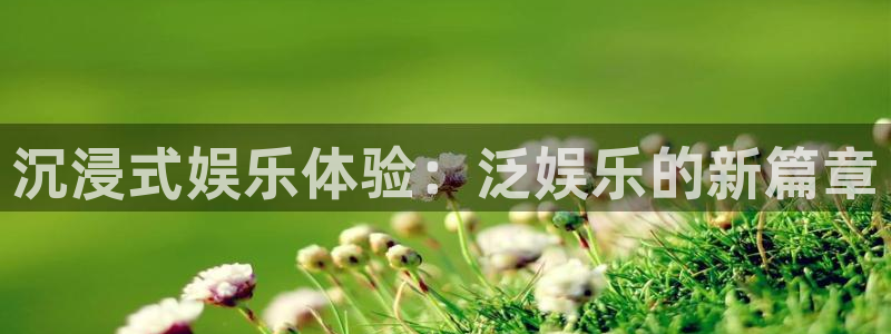 天辰娱乐凯捷平台：沉浸式娱乐体验：泛娱乐的新篇章